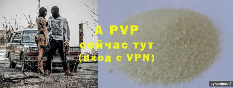 магазин продажи наркотиков  Белая Холуница  Alpha PVP СК 